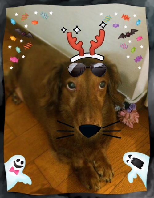 image.jpeg